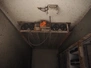 2986.jpg