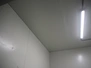 8439.jpg