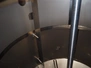 3854.jpg