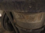 3780.jpg