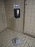 3163.jpg
