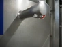 5003.jpg