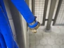 7231.jpg