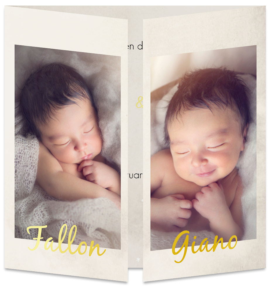 Geboortekaartje Tweeling Luikkaartje Foto Goudfolie