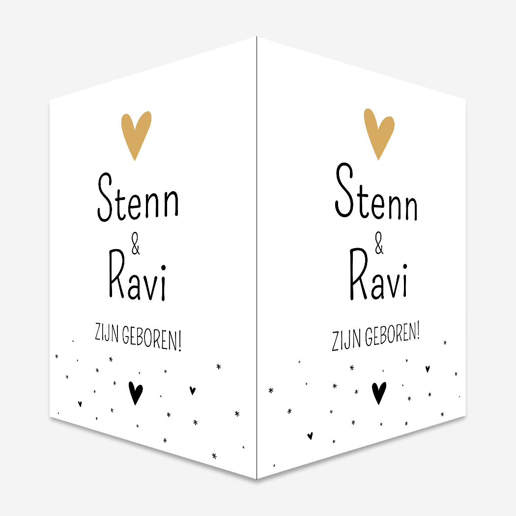 Geboortebord Raambord Tweeling Zwart Wit Hartjes