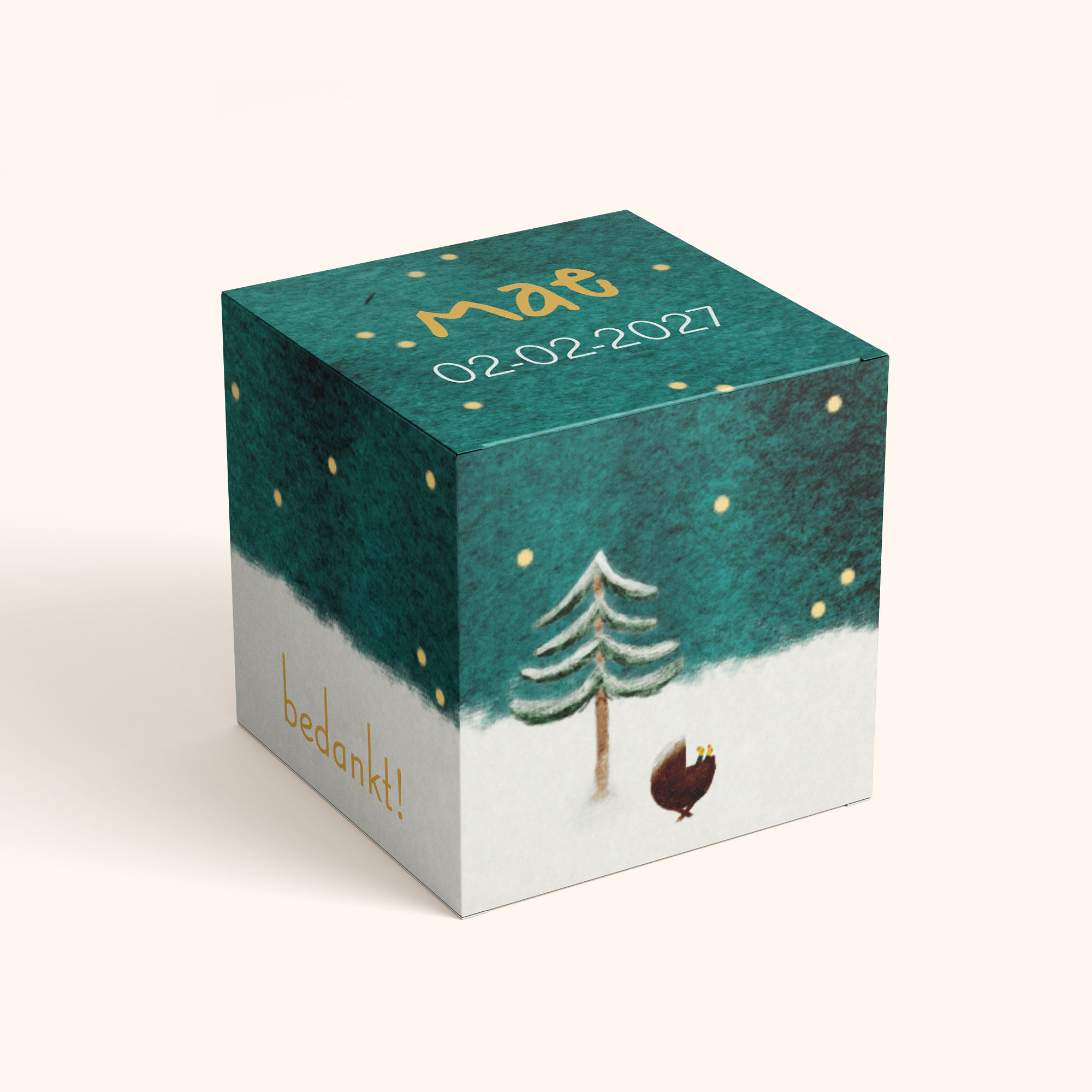 Doopsuikerdoosje noorderlicht wiegje sneeuw