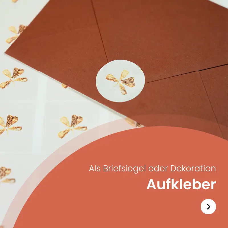 envelop-deko-redirect