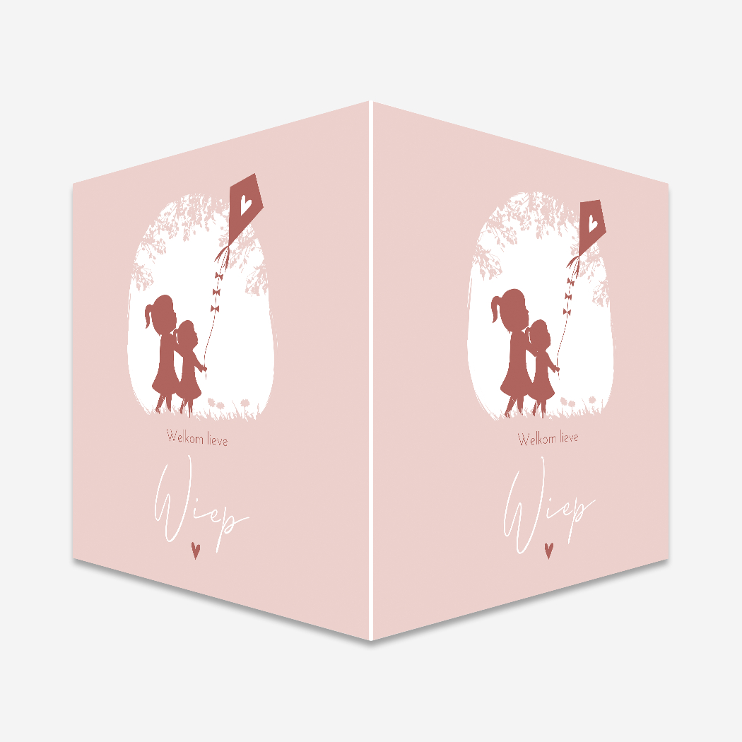 Geboortebord Vliegeren Zusjes Silhouet Roze
