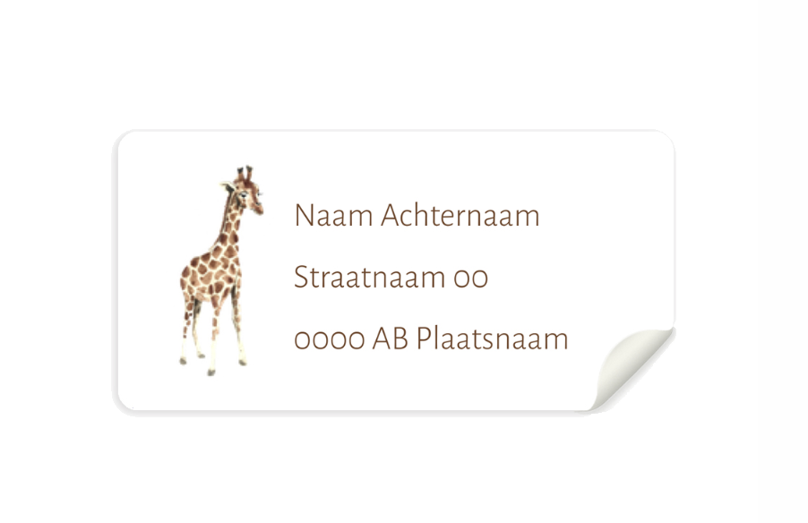 JUNGLE ADRESSTICKER GEBOORTEKAARTJE ILLUSTRATIE