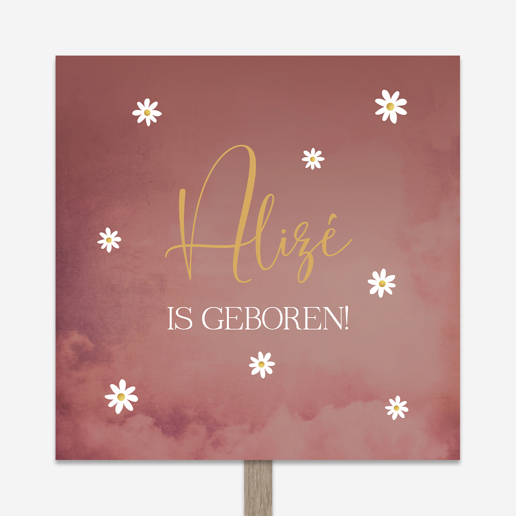 Tuinbord Roze Madeliefjes Bloemetjes