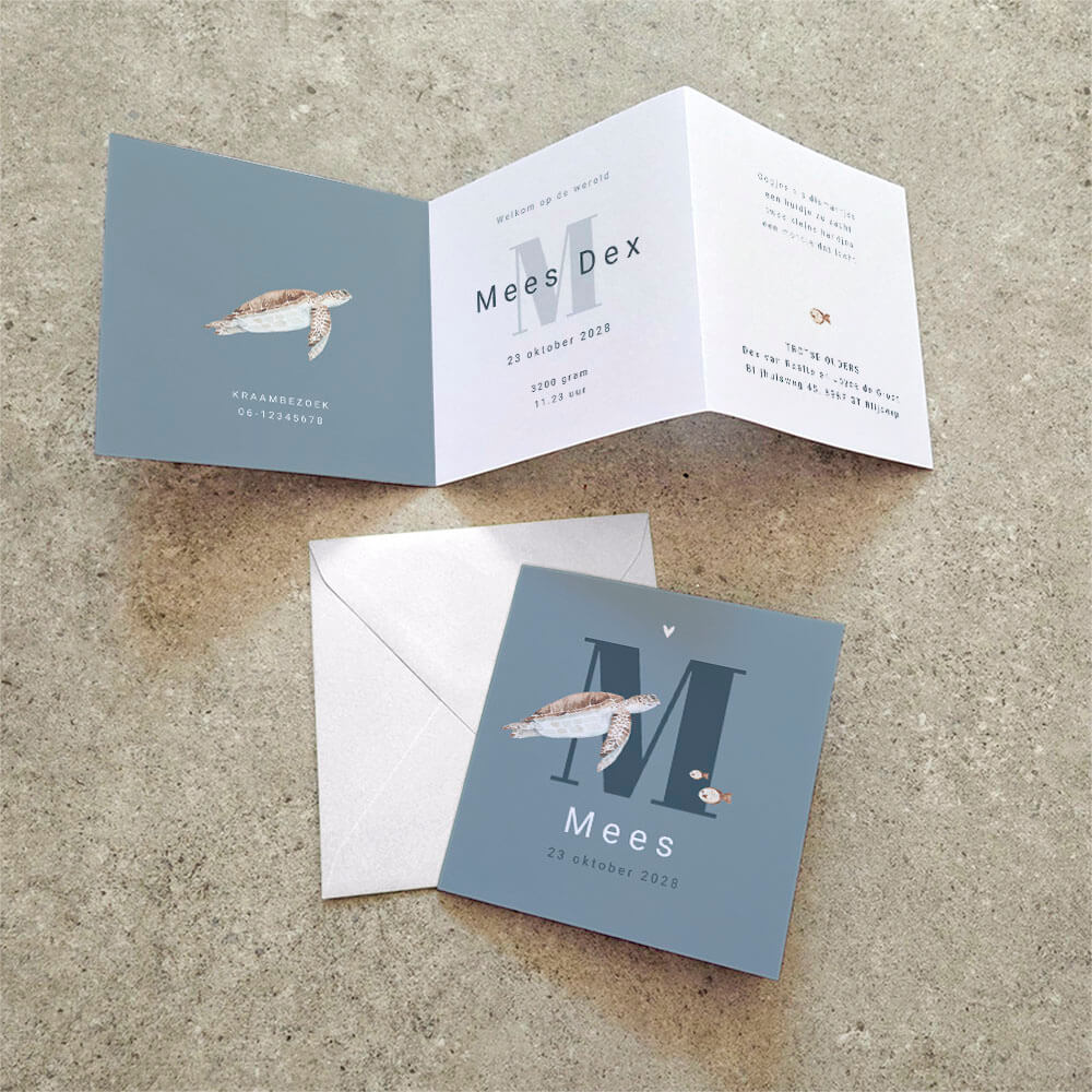 Zigzag geboortekaartje voor een jongen met schildpad en vissen