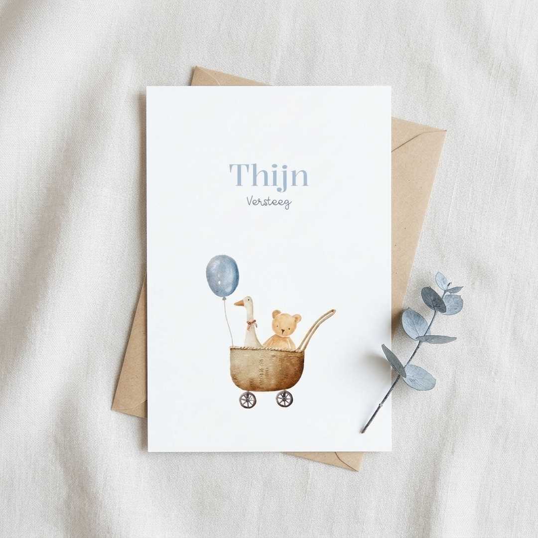 Lief geboortekaartje jongen teddybeer knuffel gans karretje