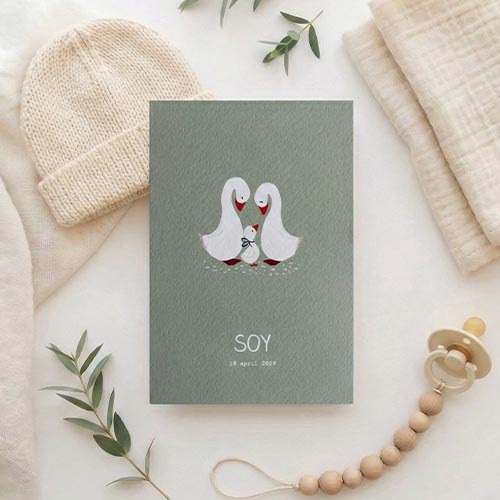 Geboortekaartje jongen familie gans