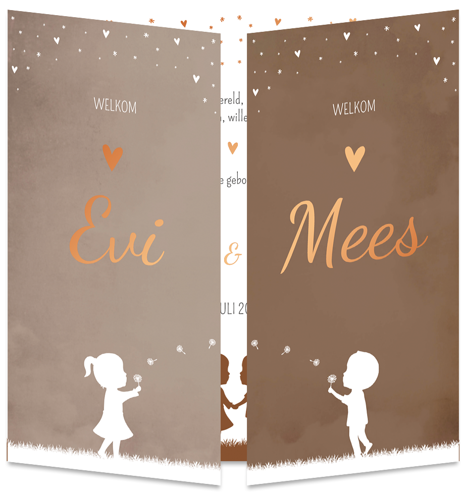 Geboortekaartje Tweeling Jongen-Meisje Luikkaartje