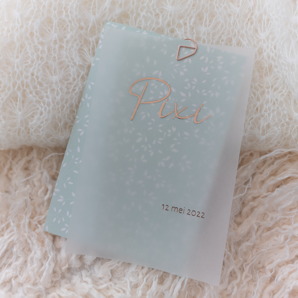 Kalkpapier geboortekaartje Pixi