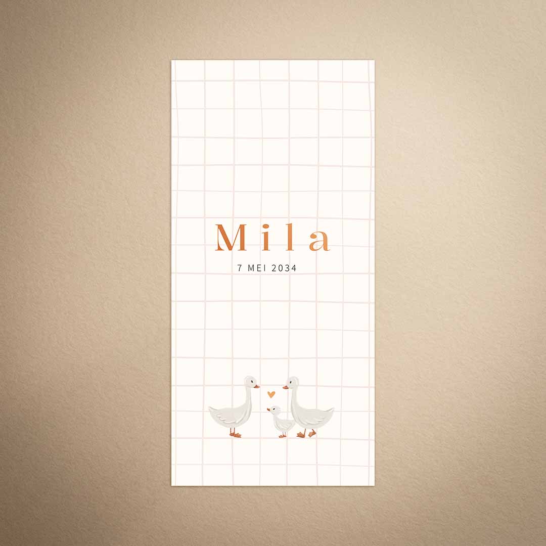 Geboortekaartje met ruitje en gansjes voor een meisje