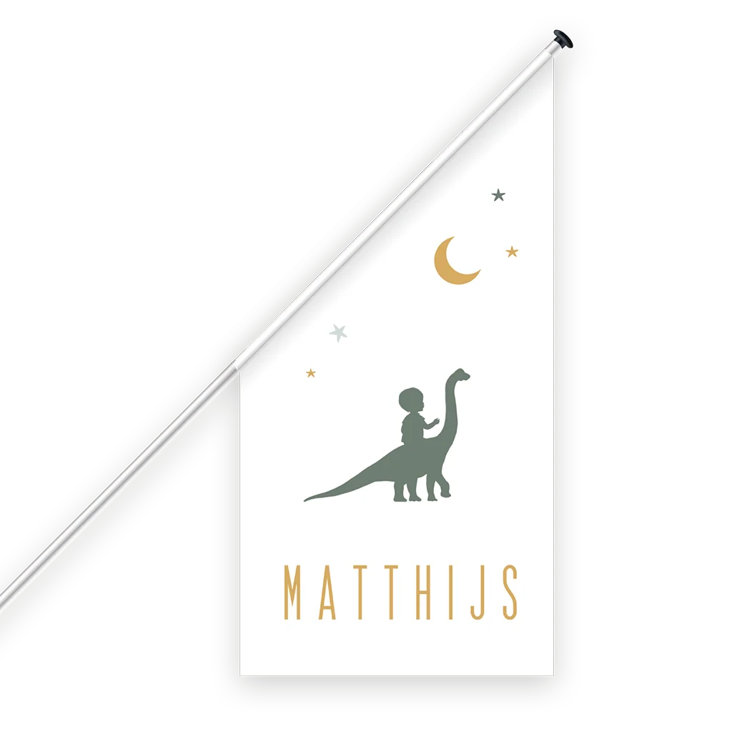 Avontuurlijke geboortevlag met jongen op dino