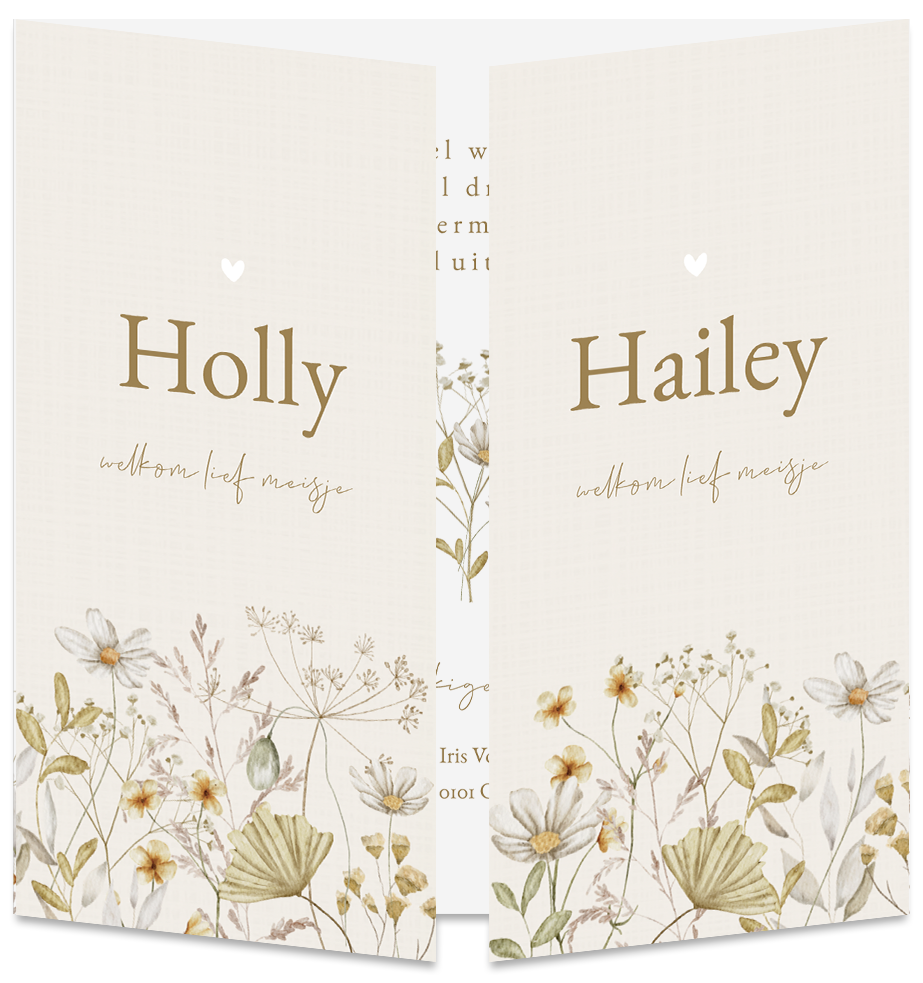 Geboortekaartje Tweeling Droogbloemen Beige