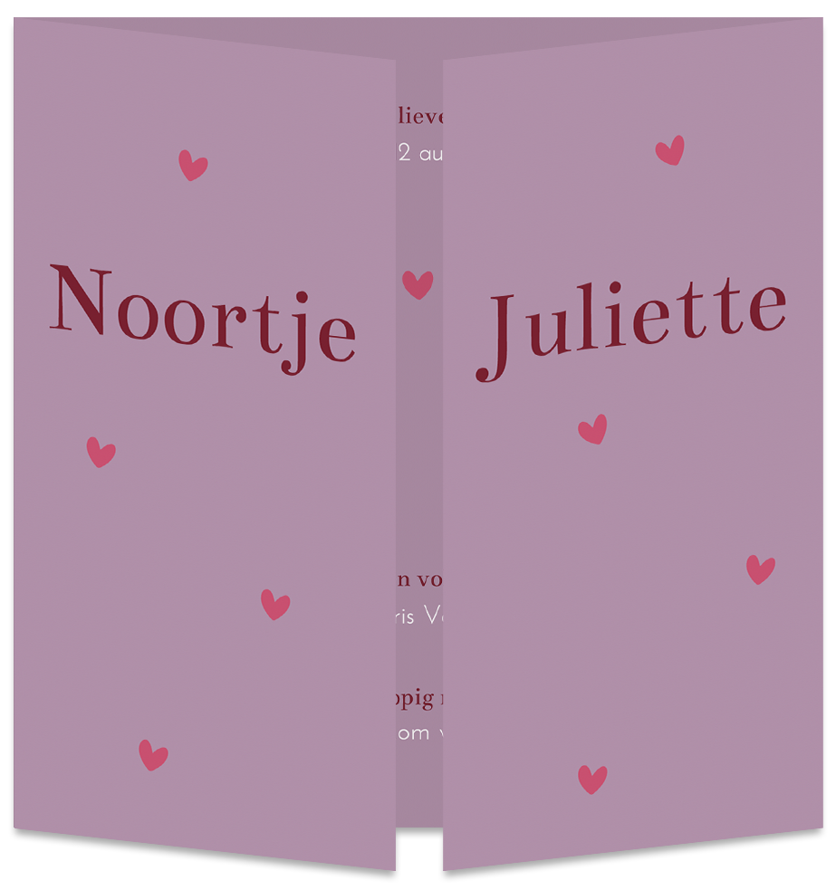 Geboortekaartje tweeling meisjes hartjes lief