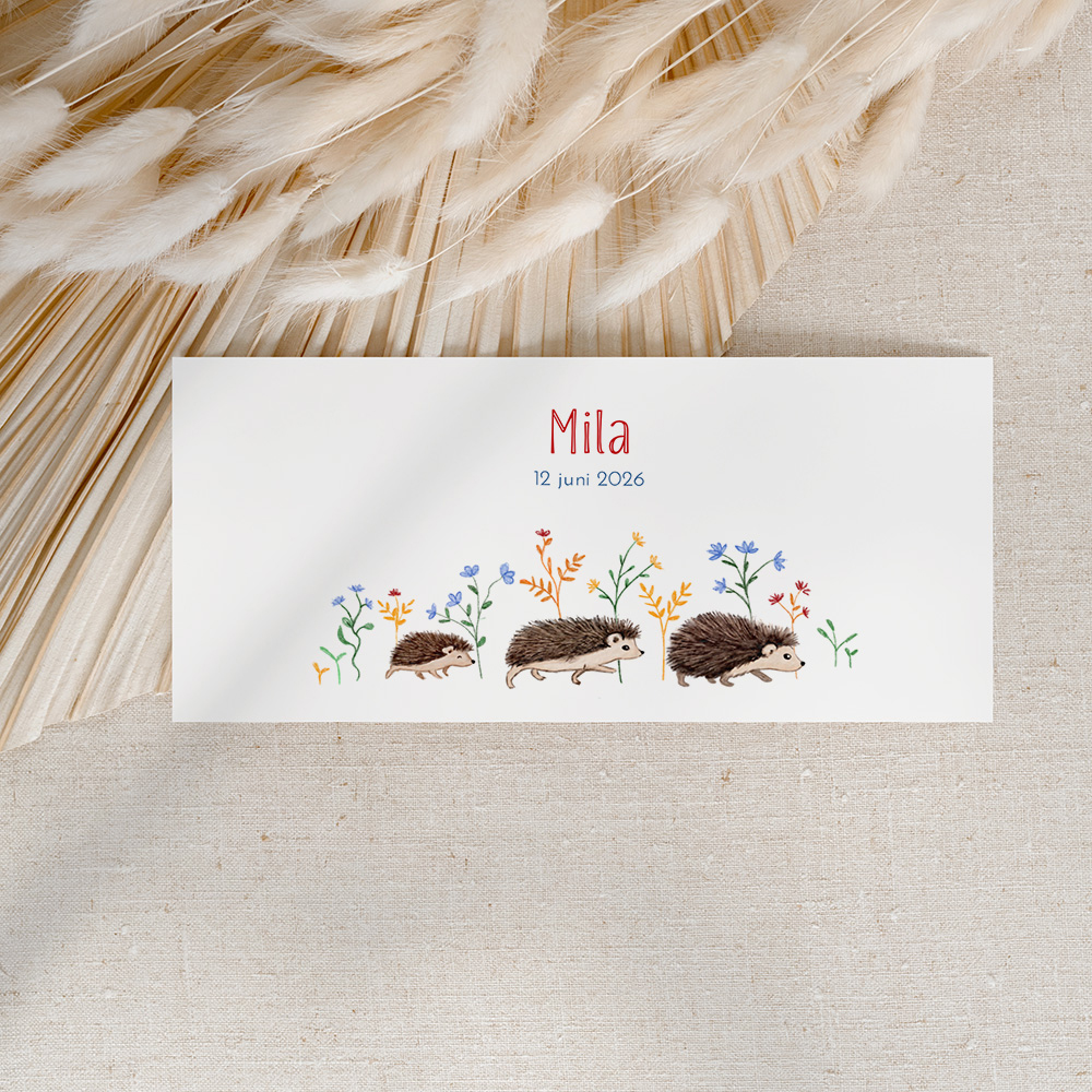 Geboortekaartje met wandelende egels