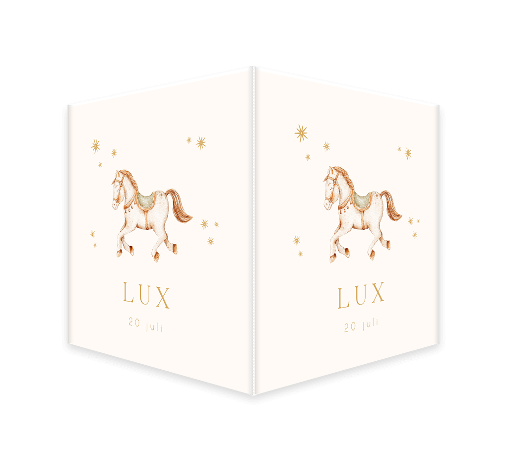 Vierkant geboortebord met pastel aquacolour paardje