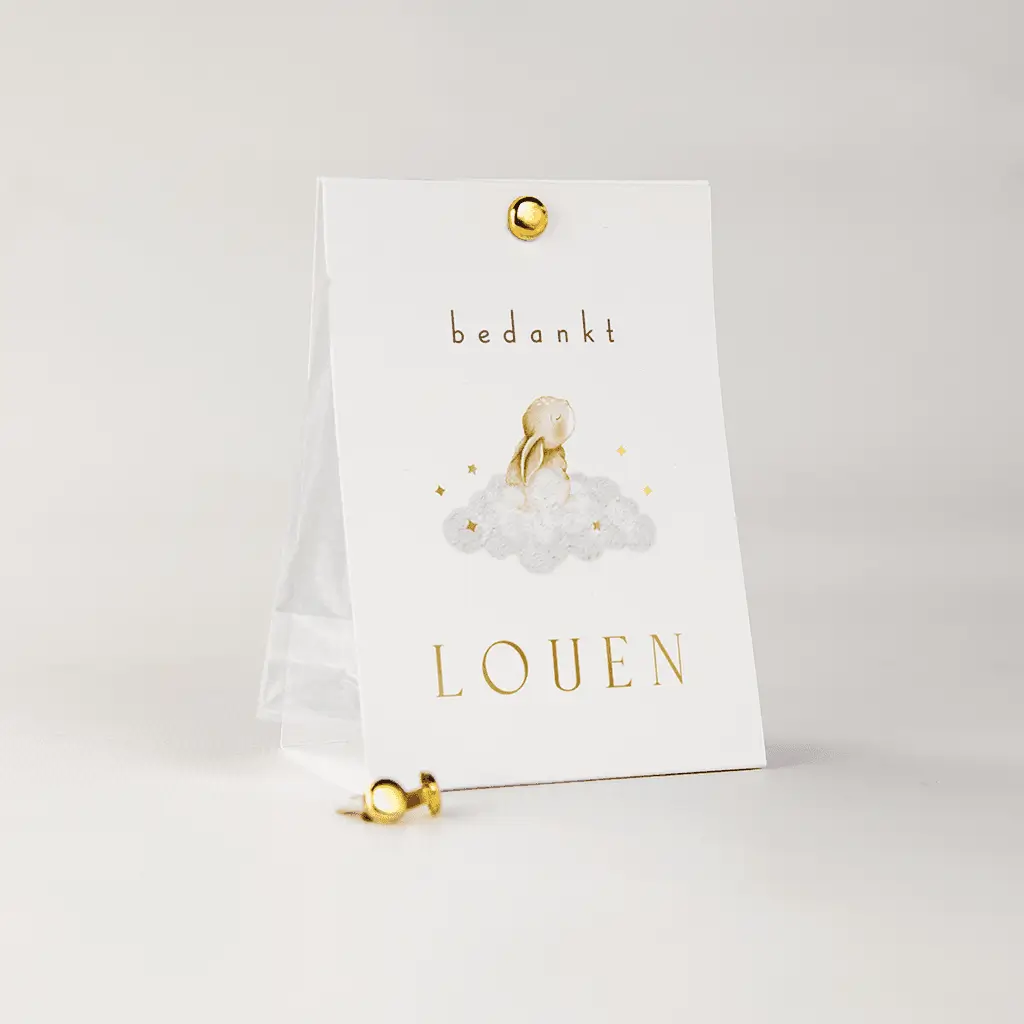 Doopsuiker snoepzakje met konijntje op wolkje en goudfolie 