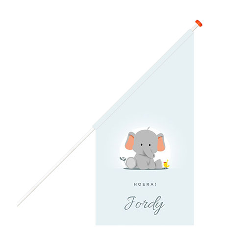 geboortevlag olifantje met vogel