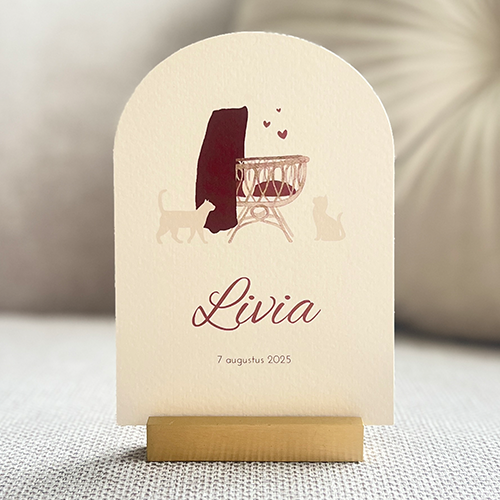 Geboortekaartje Meisje Wiegje Poezen Katten