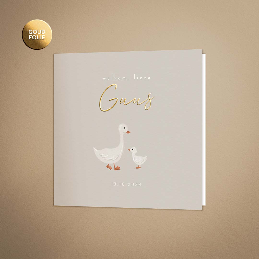 Schattig geboortekaartje met gansjes voor een jongen