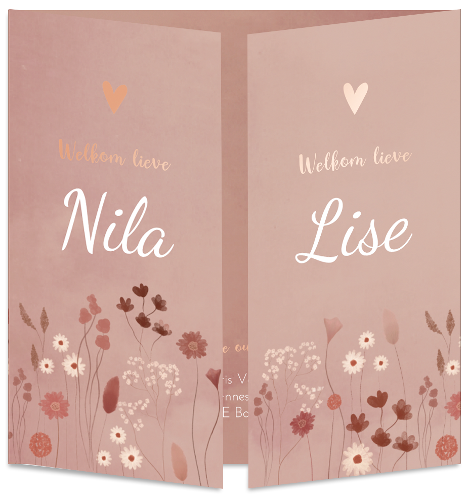 Geboortekaartje Tweeling Luikkaartje Droogbloemen Roze