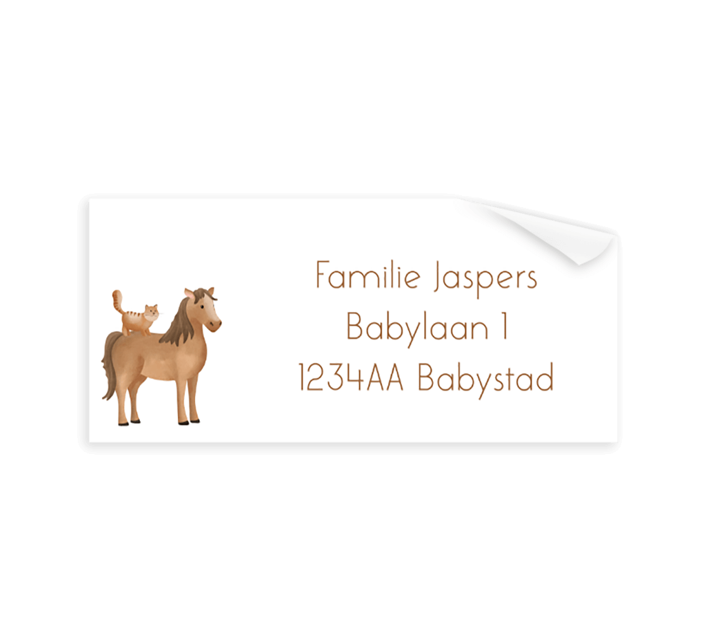 Adresstickers met kat en paard