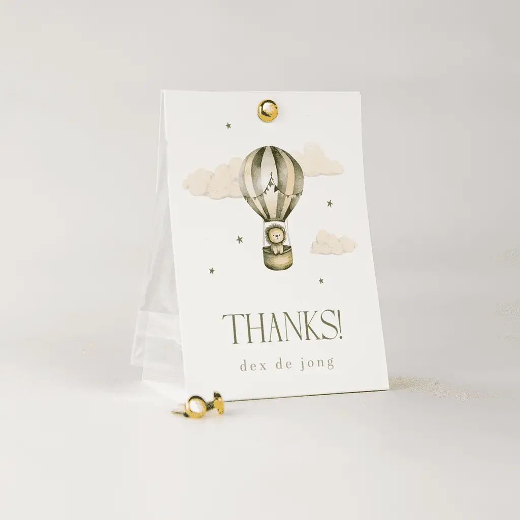 Snoepzakje met luchtballon en leeuwtje