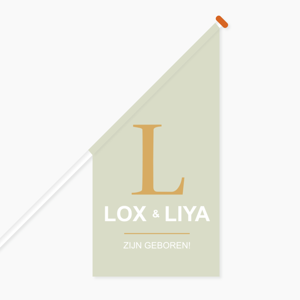 Vlag Tweeling Mintgroen Inititaal Groen