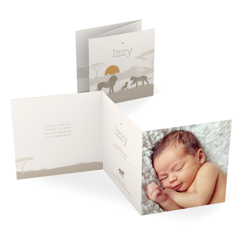 Silhouet zigzag geboortekaartje unisex met leeuwen op de savanne