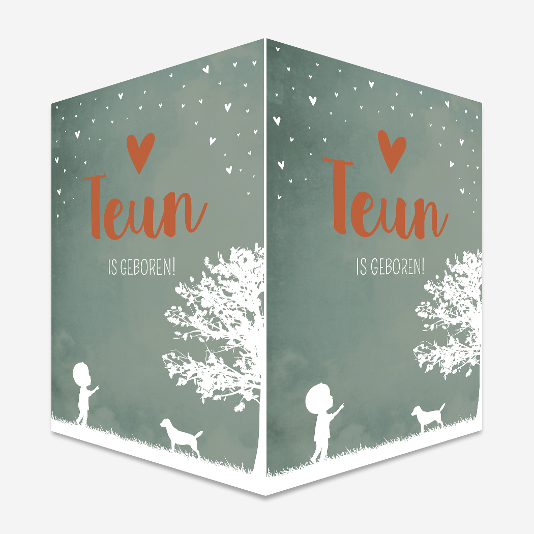 Geboorebord jongen geboren