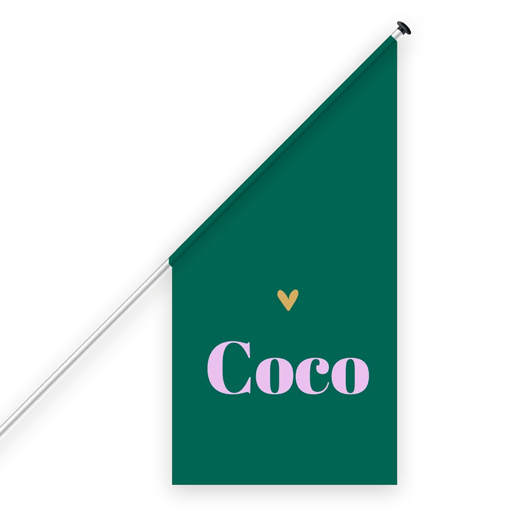 Geboortevlag colour blocking met naam