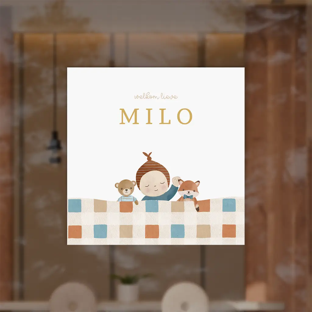 Raamsticker vierkant met jongen en knuffels