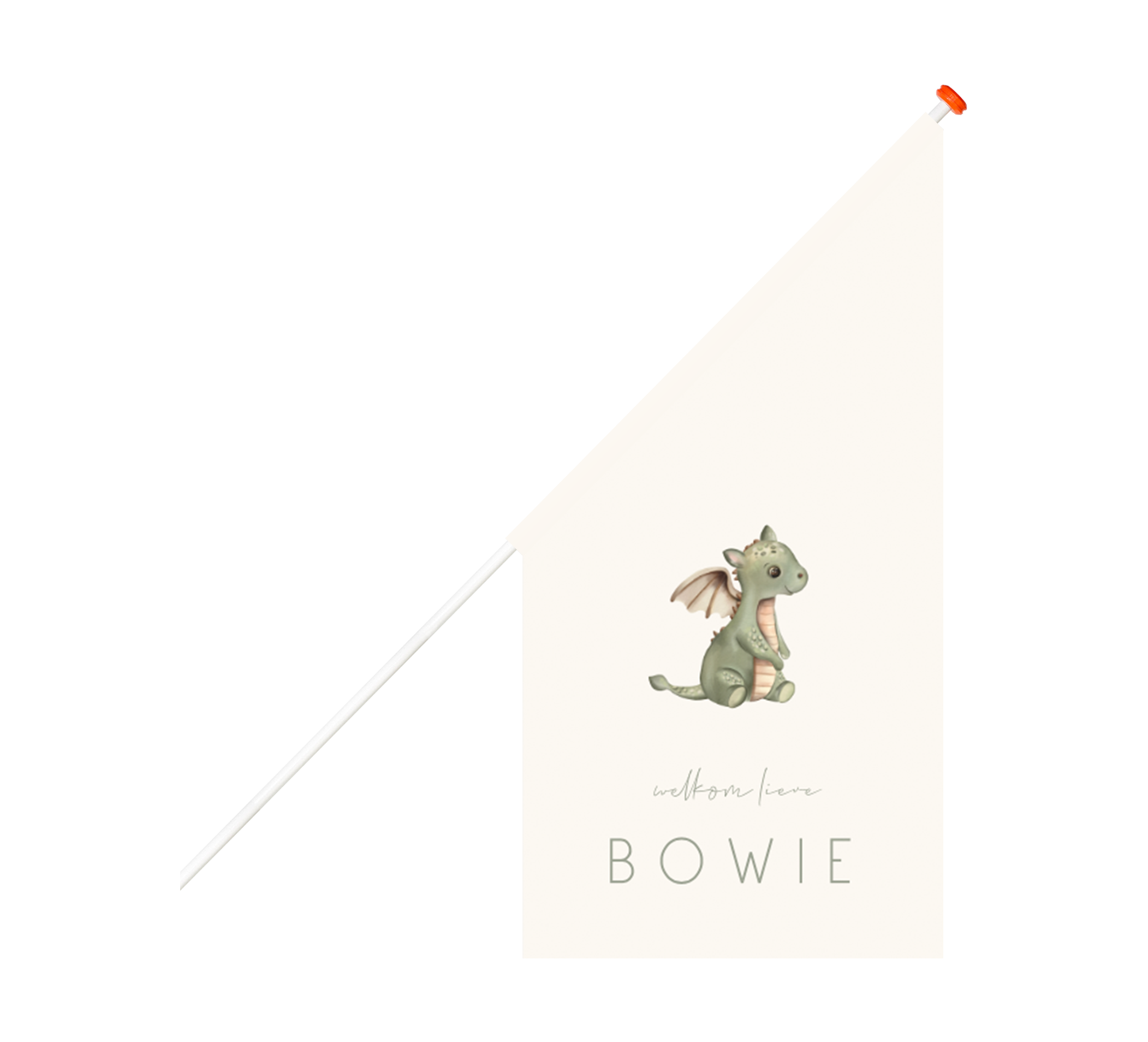 Schattige geboortevlag met baby draakje