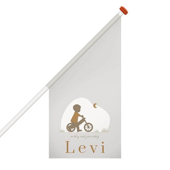 Geboortevlag voor een jongen met silhouet jongen op loopfietsje