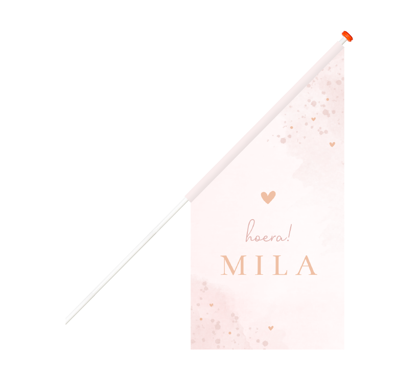 Lichtroze geboortevlag met hartjes