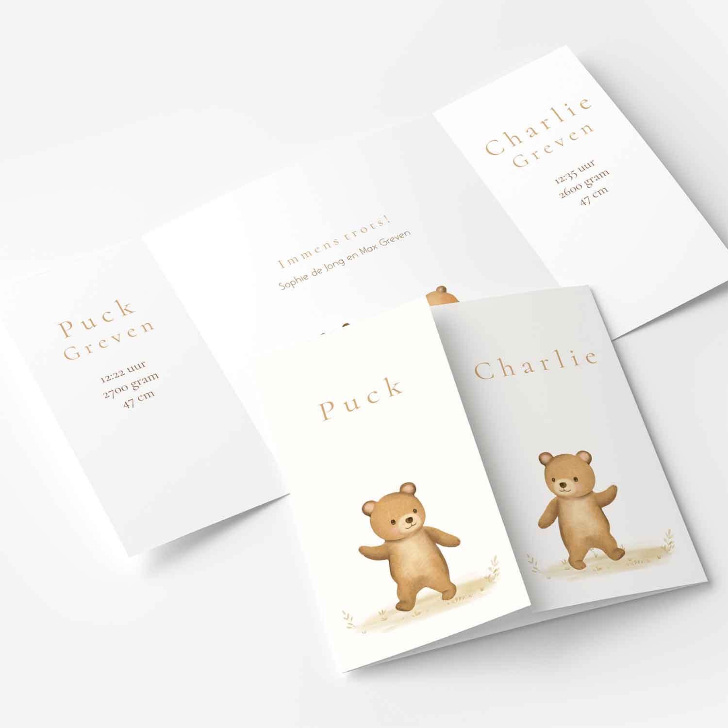 Theater geboortekaartje met tweeling beren