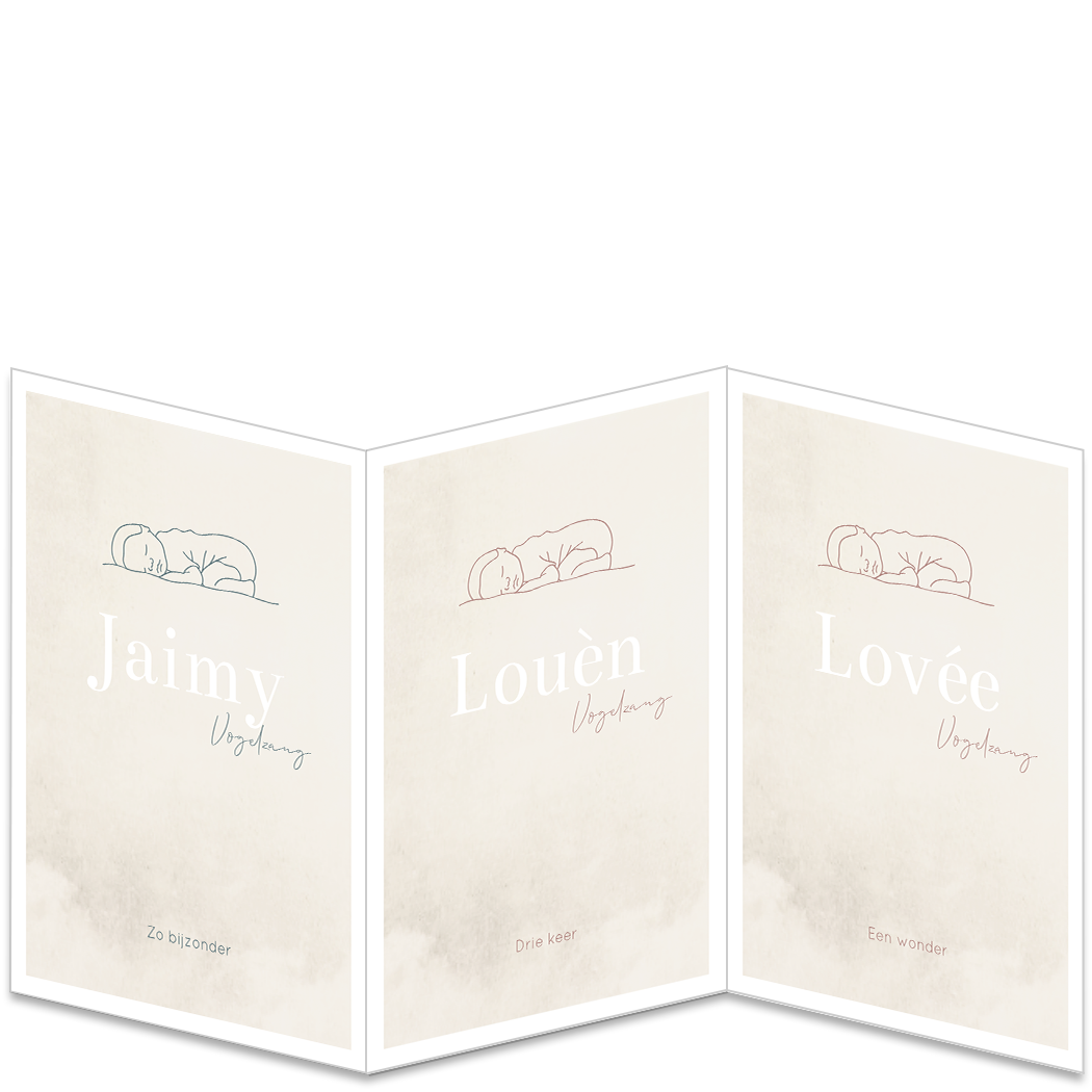 Geboortekaartje Drieling Luikkaartje Lijntekening