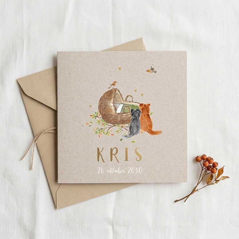 Geboortekaartje met wiegje, hondjes en roodborstje op kraft