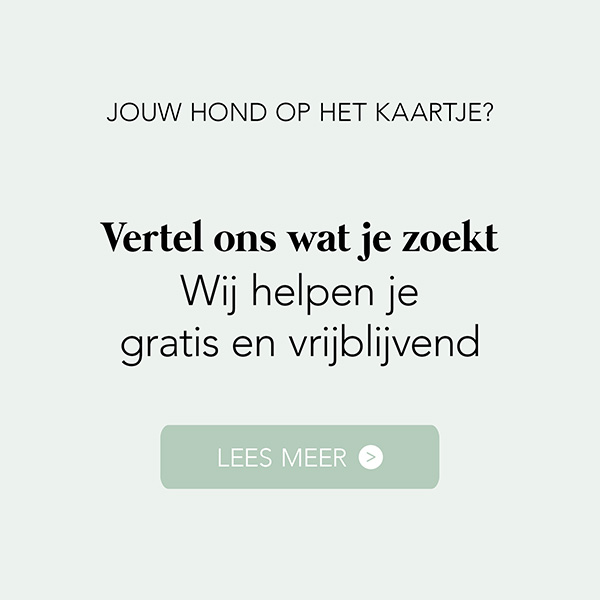 doorlink-plp-naar-opmaakhulp-geboortekaartje-hond