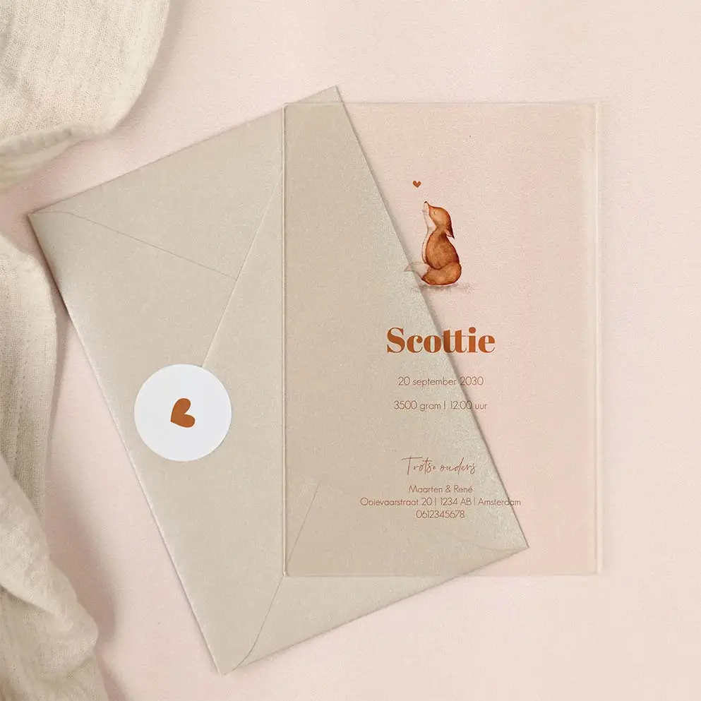 Acryl geboortekaartje met lief vosje