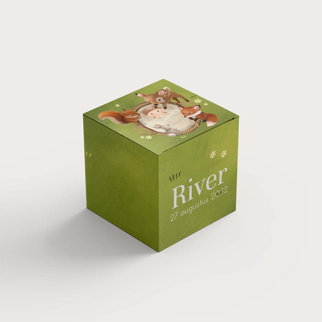 Doopsuikerdoosje groen met lieve bosdieren en baby in mandje