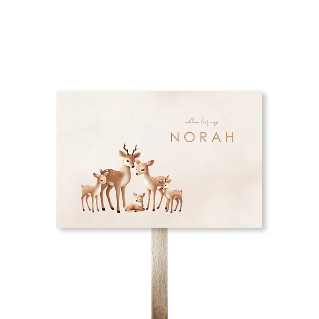 Tuinbord met hertengezinnetje voor een broertje of zusje