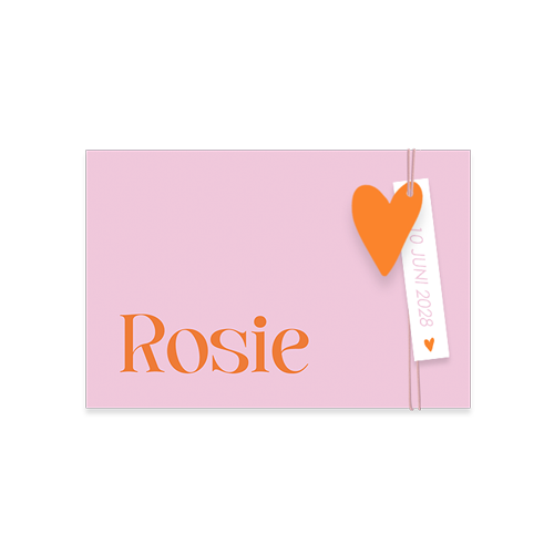 Geboortekaartje voor meisje color blocking met label