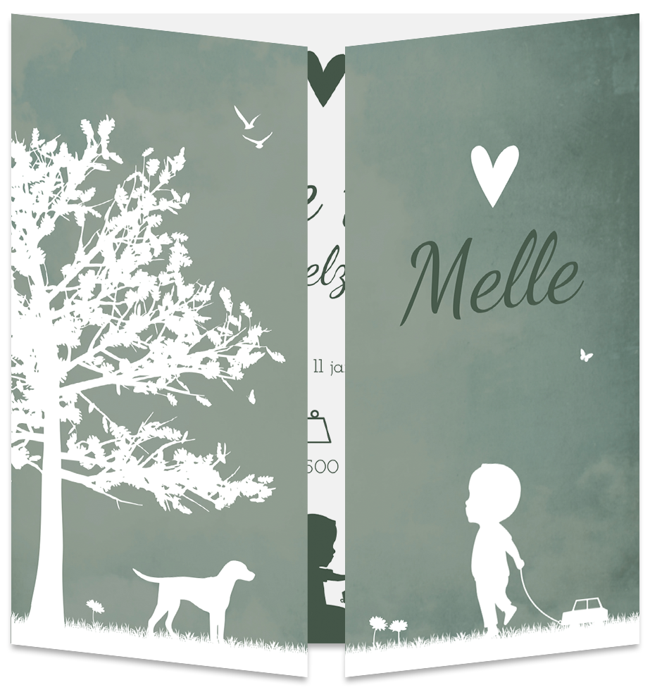 Geboortekaartje Jongen Silhouet Unieke vorm