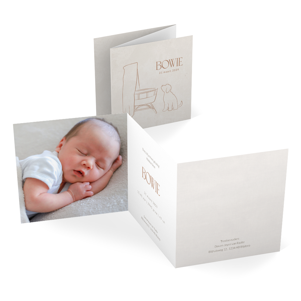 Zigzag unisex geboortekaartje met lijntekening labradoodle en wieg